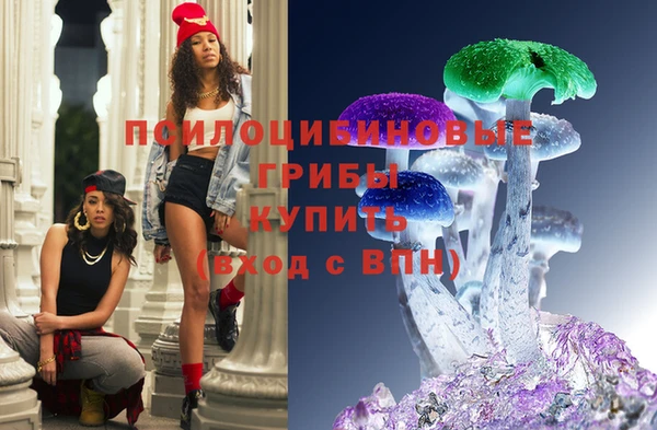 твердый Бронницы