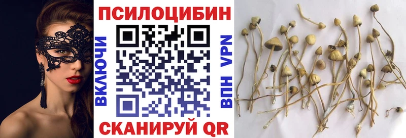Галлюциногенные грибы Cubensis  Якутск 